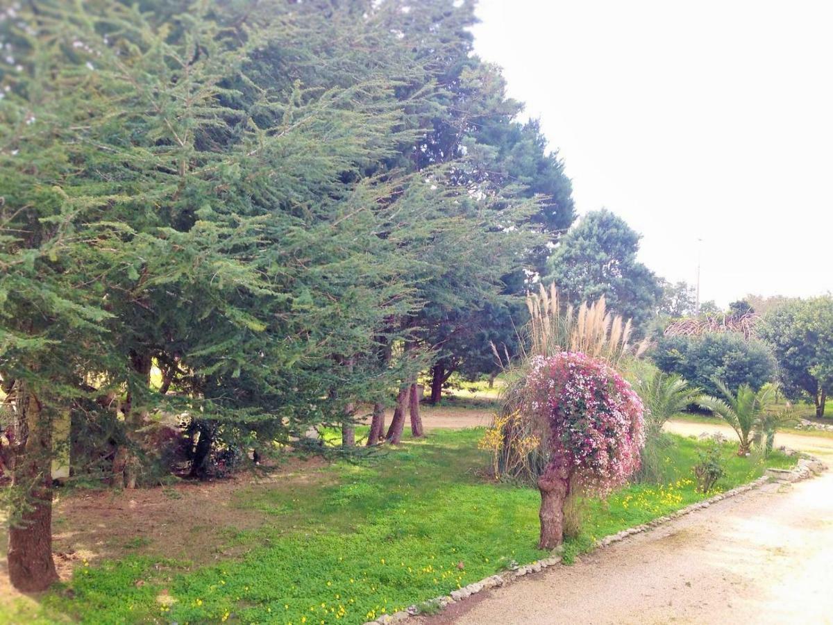 La Macchia Panzió Melendugno Kültér fotó